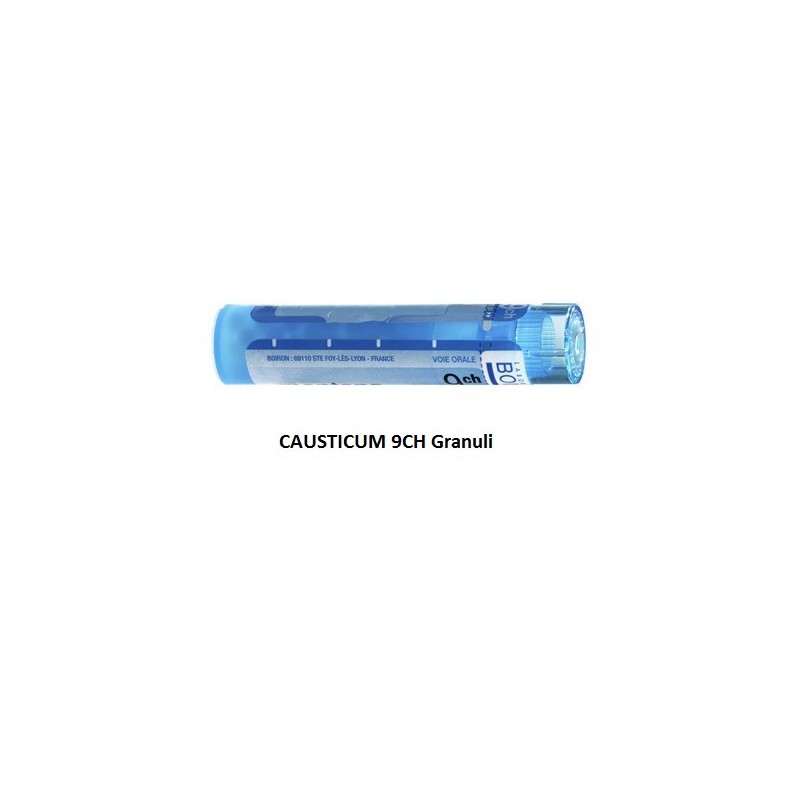 Boiron Causticum Boi 9ch 80gr 4g