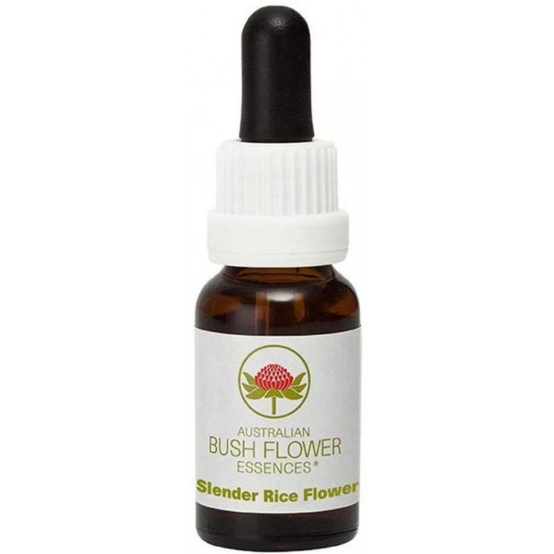 Bush Biotherapies Pty Slender Rice Australian 15 Ml