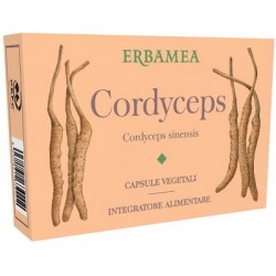 Erbamea Cordyceps 24...