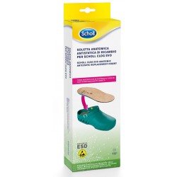 Scholl Clog Evo Anatomic...