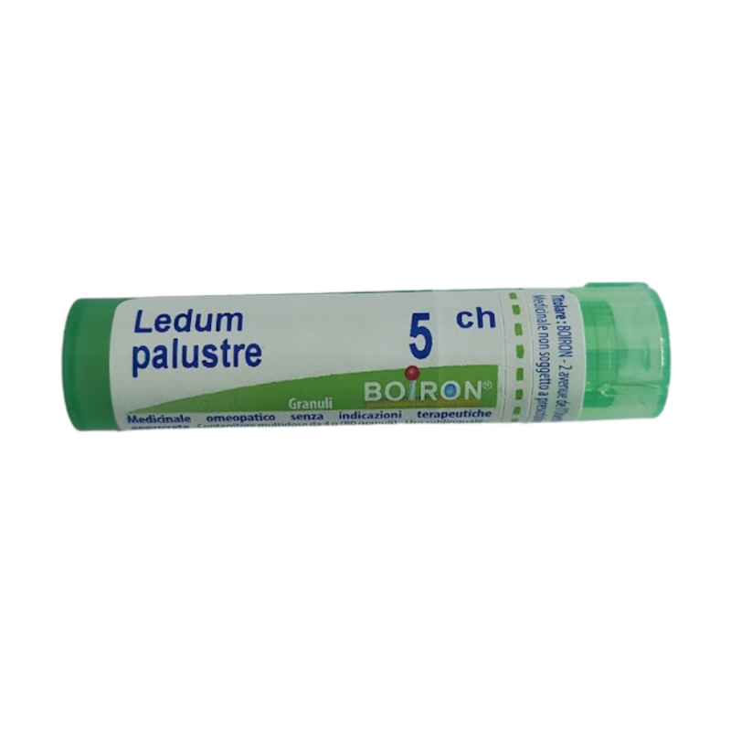 Boiron Ledum Palustre Boi 5ch 80gr 4g