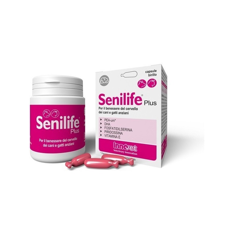 Innovet Senilife Plus 30 Capsule